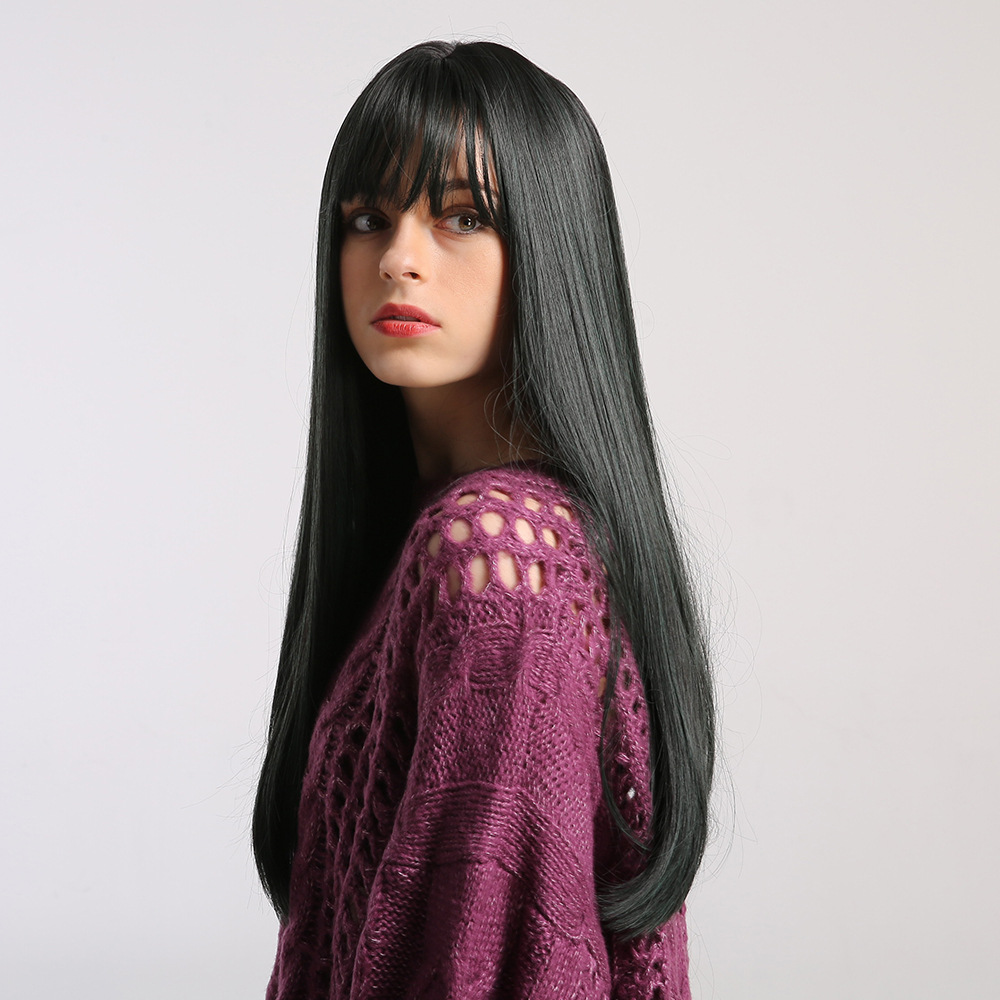 Silky Straight Black Long Natural Wig with Fringe Bangs for Women Heat Resistant Synthetic Wig